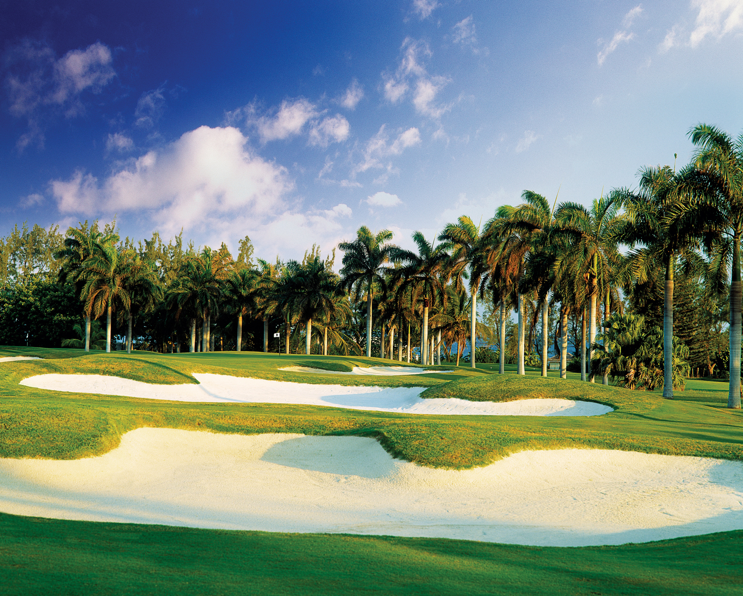Villas to rent in Jamaica Golf Courses in Jamaica