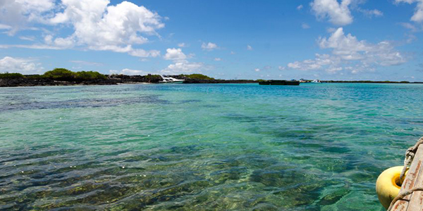 Galapagos