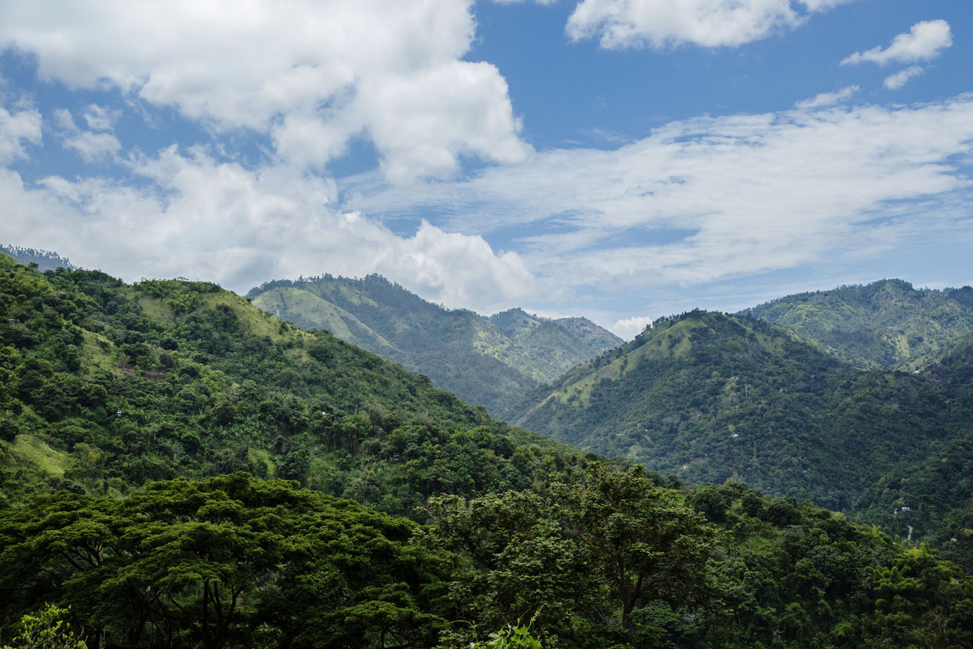 Villas to rent in Jamaica Blue Mountains