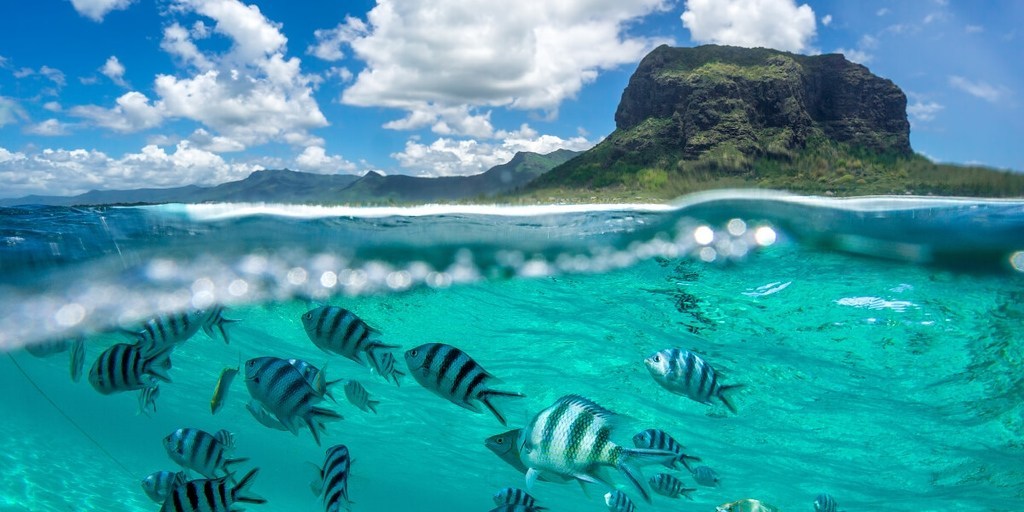 Luxury Villas in Mauritius Diving in Mauritius