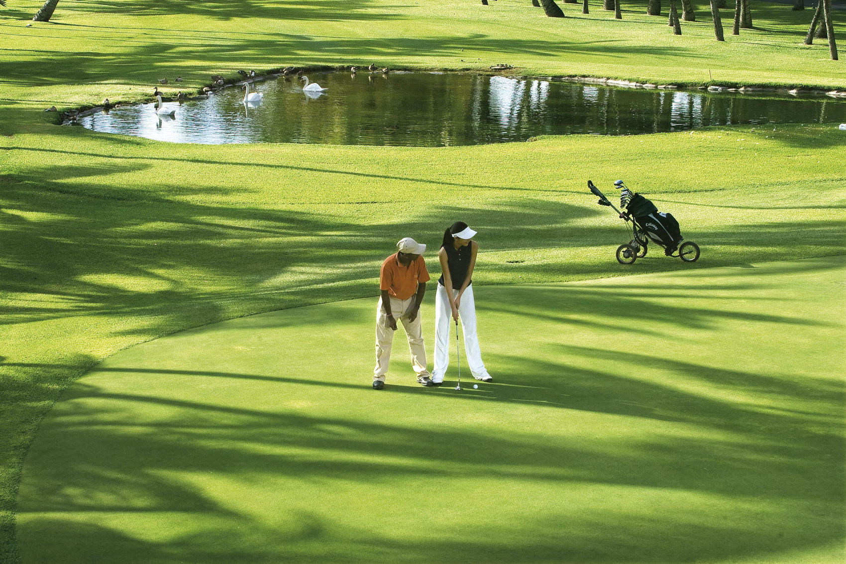 Luxury Villas in Mauritius Fabulous Golf Courses in Mauritius