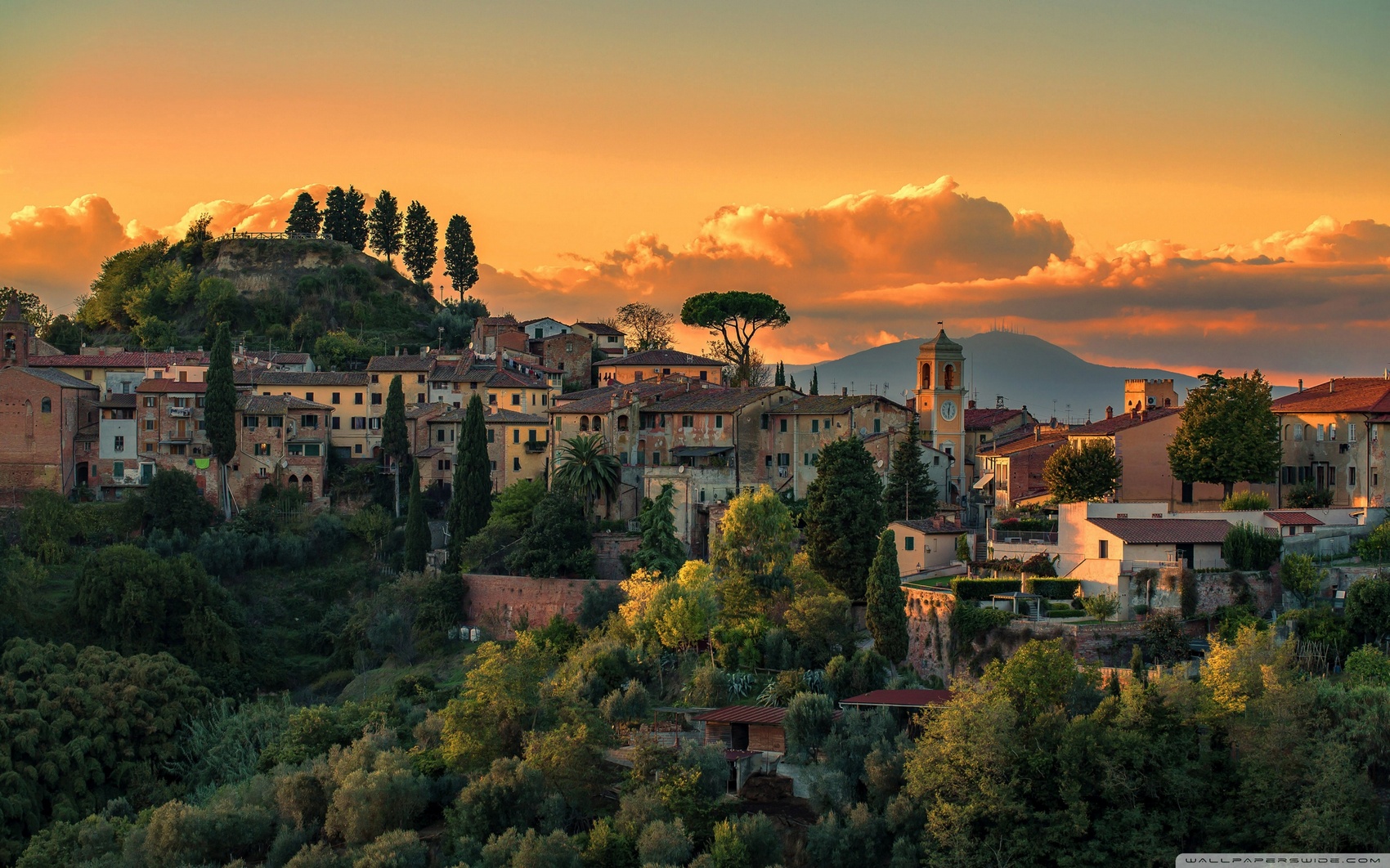 Luxury Villas Italy| Worldwide Dream Villas Villas in The Tuscan Hills of Italy